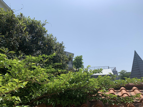 IMG_5477.jpg