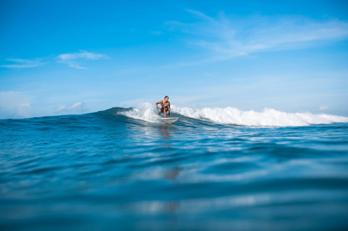 W1440Q90_AdobeStock_205994720.jpeg