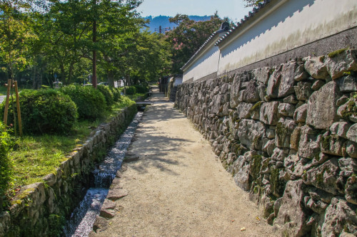 W1920Q90_AdobeStock_418295350.jpeg