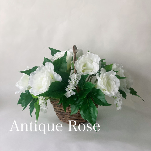 初夏　季節のレッスン