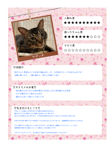 0CF02628-66C6-4009-85E5-DBDF81C2AA5E.png
