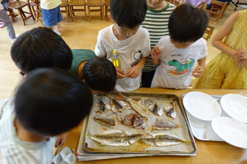 DSC09408.JPG