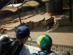s_149.JPG