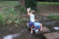 IMG_5785r.JPG