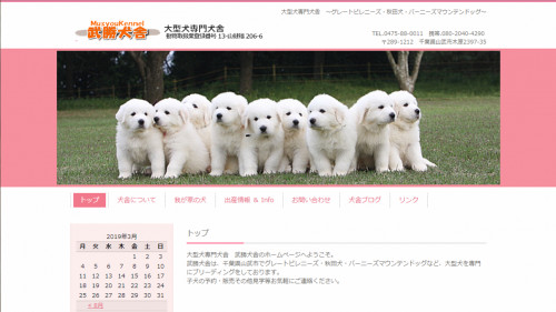 musyoudog.png