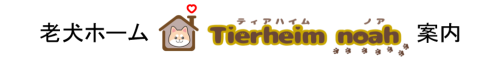 老犬ホーム Tierheim noah 案内