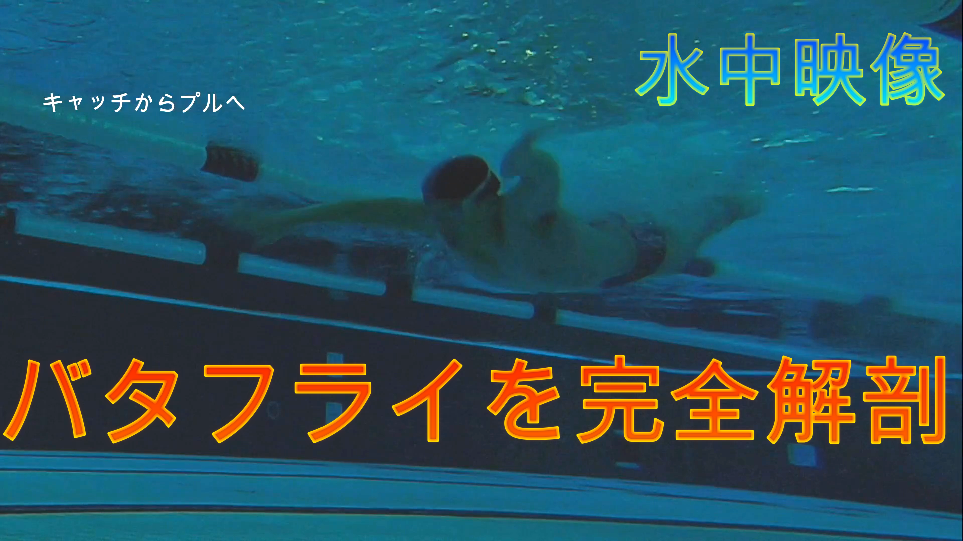 【YouTube】バタフライの泳ぎを解説してます！