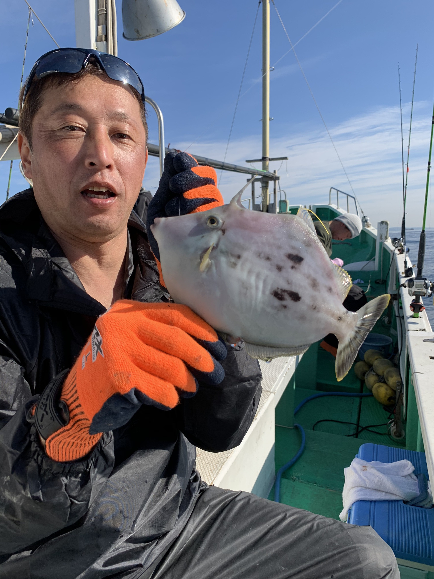 アジ→カワハギ