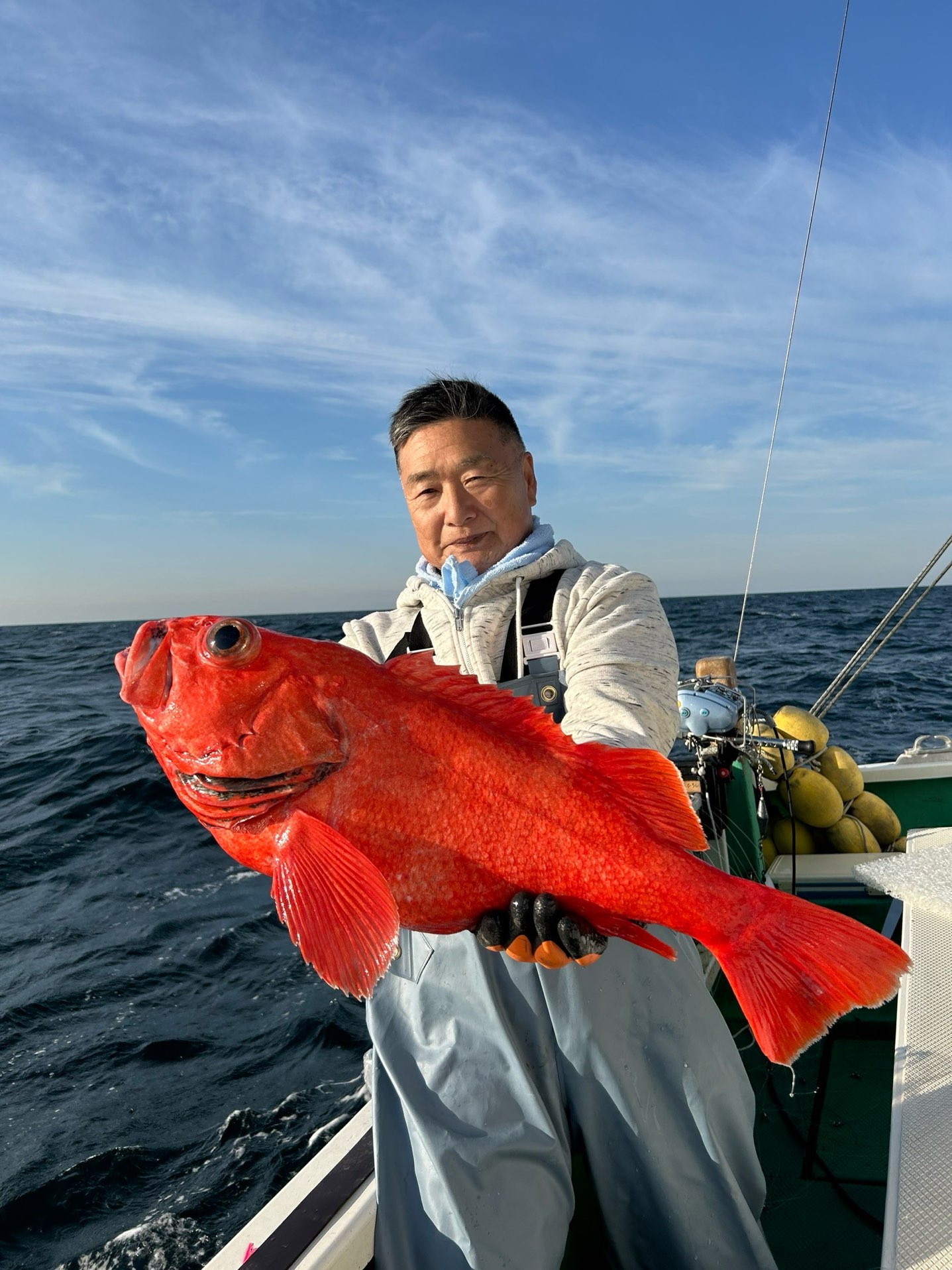 ベニアコウ 本命浮上㊗️