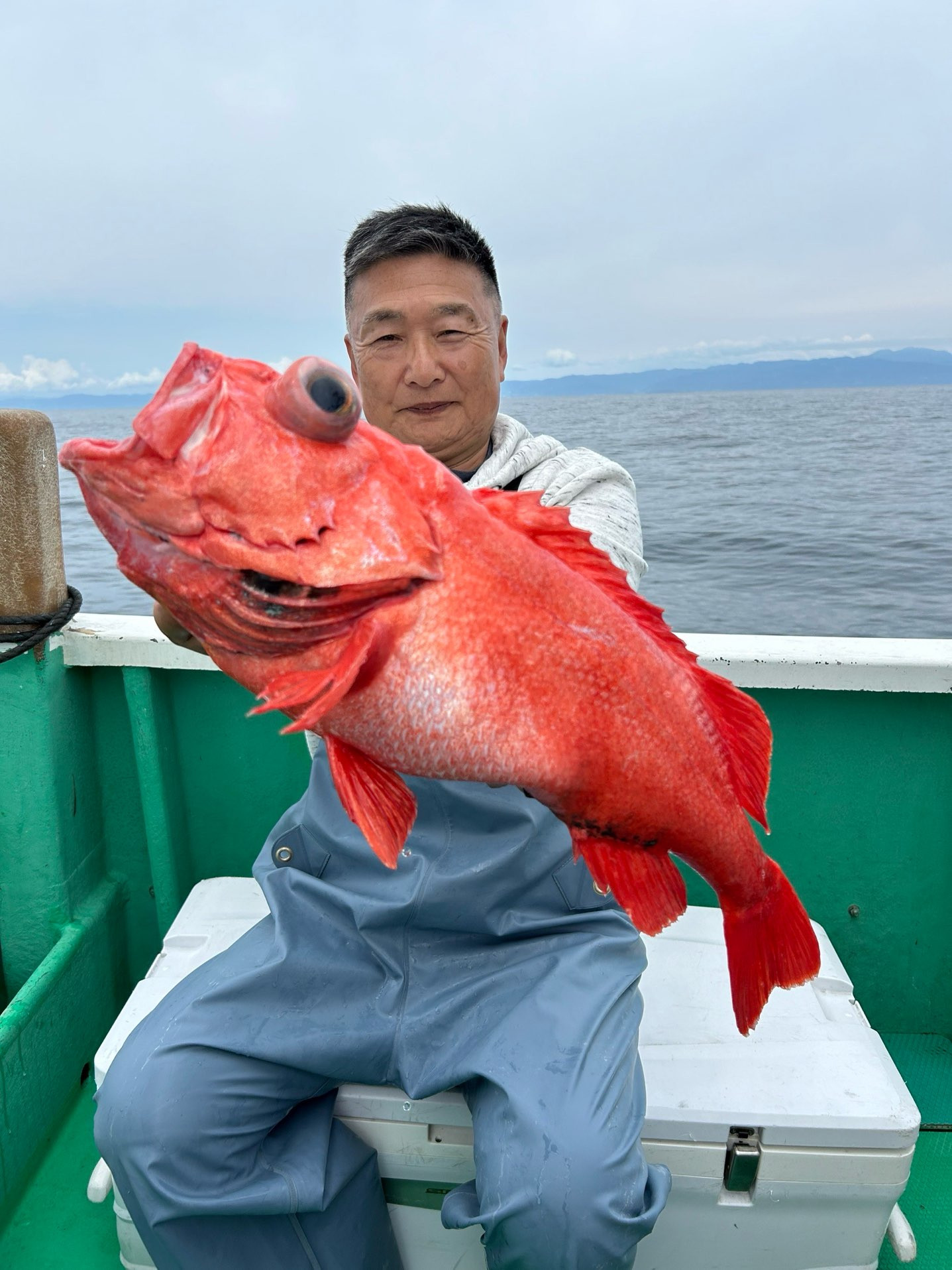 ベニアコウ 良型本命浮上㊗️