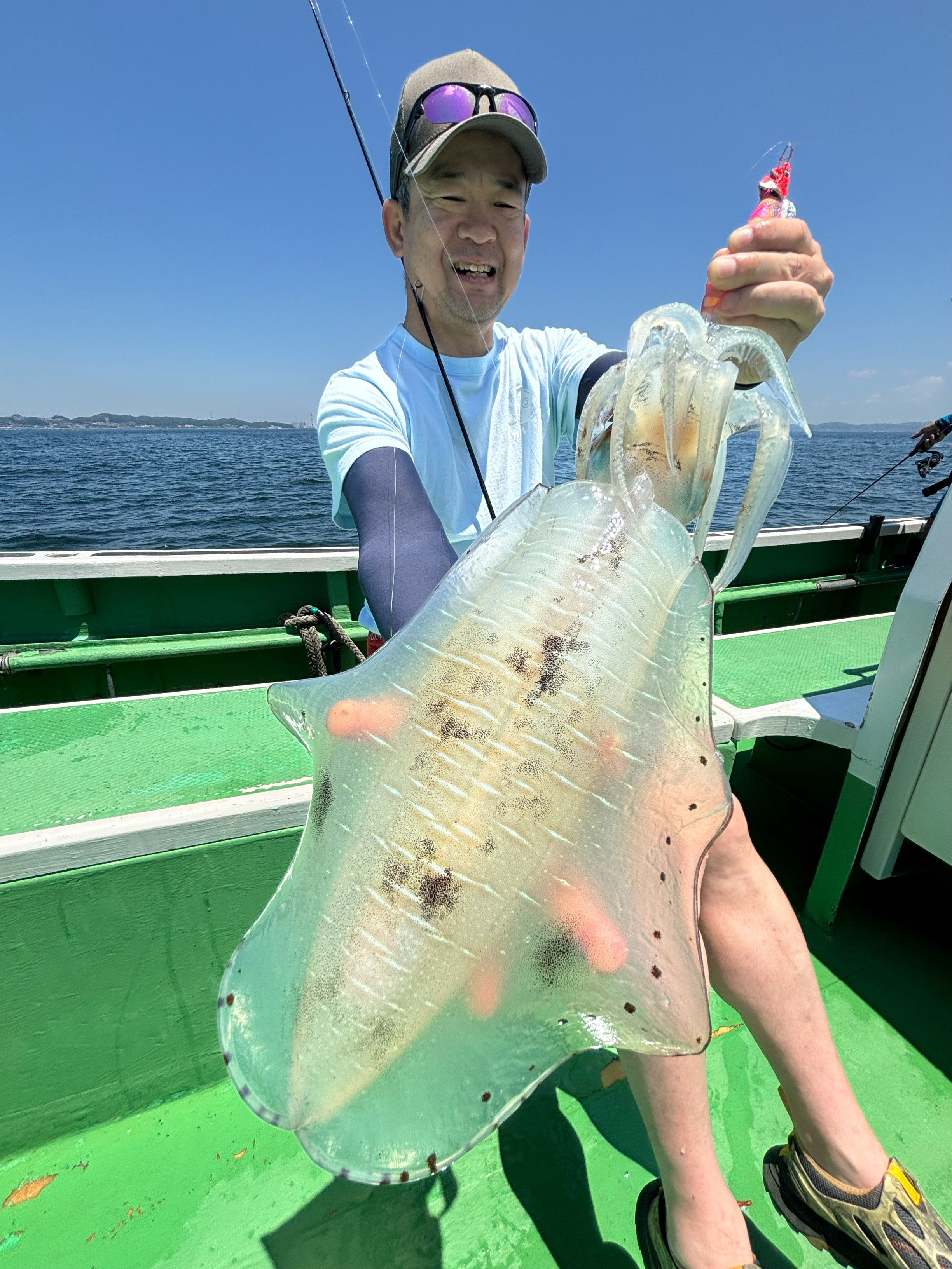 ティップラン トップ4杯 最大1.6kg‼️