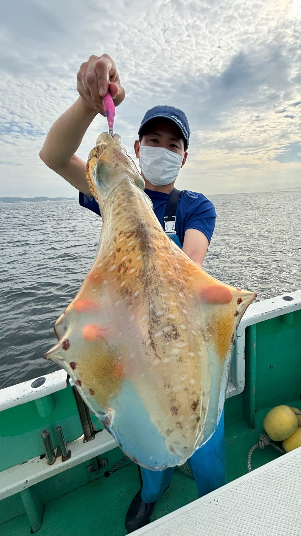 ティップラン トップ2杯 最大1.9kg‼️