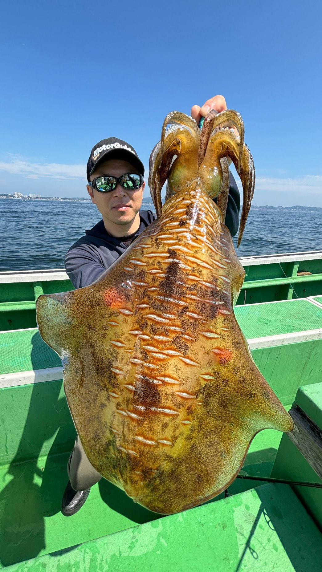 ティップラン トップ2杯 最大2.1kg‼️