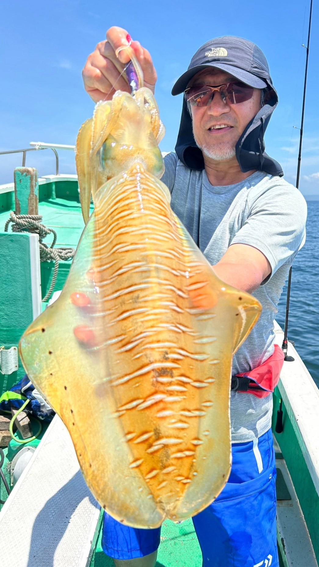 ティップラン トップ2杯 最大1.8kg‼️