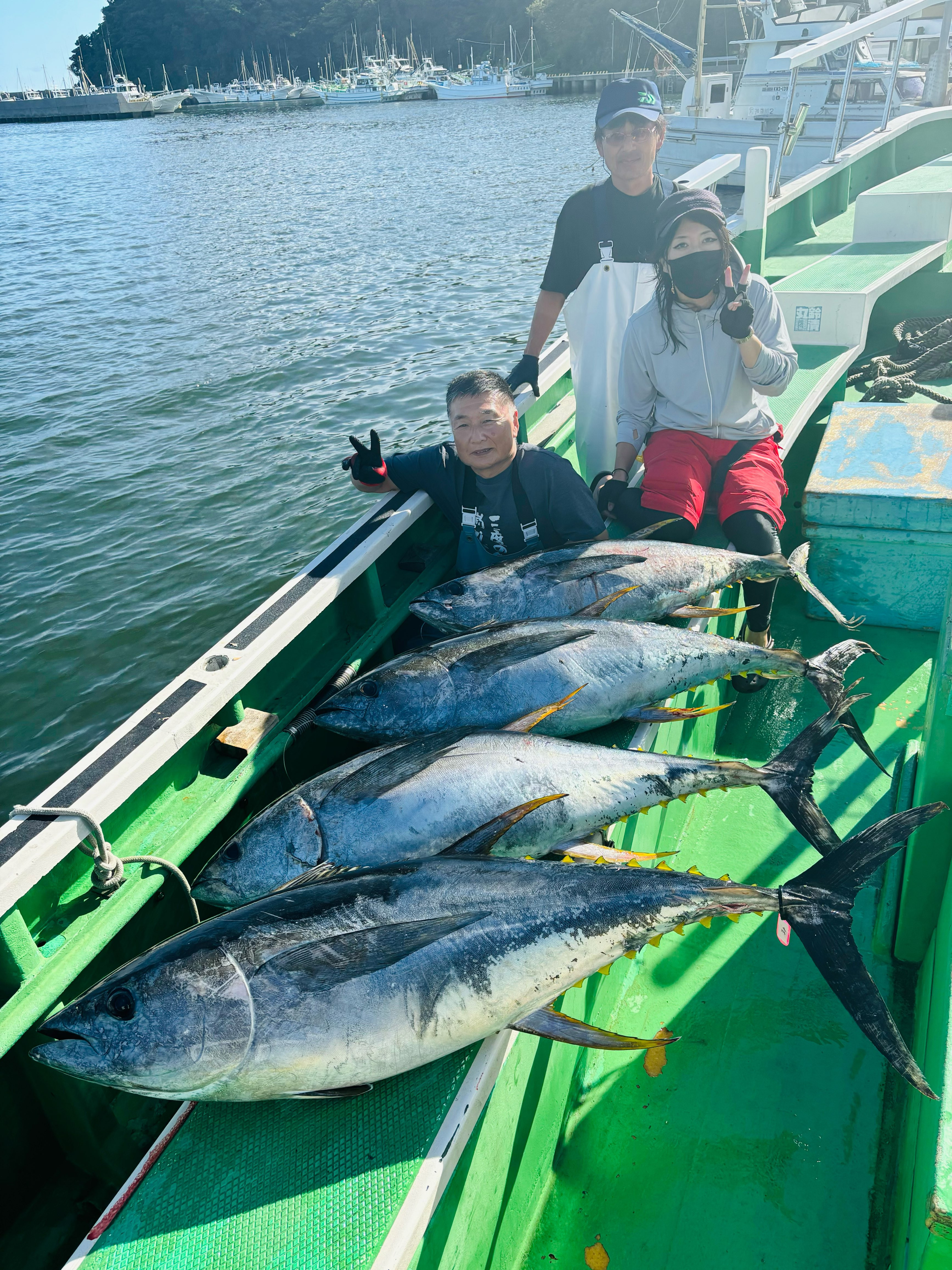 キハダ 4本 平均30kg