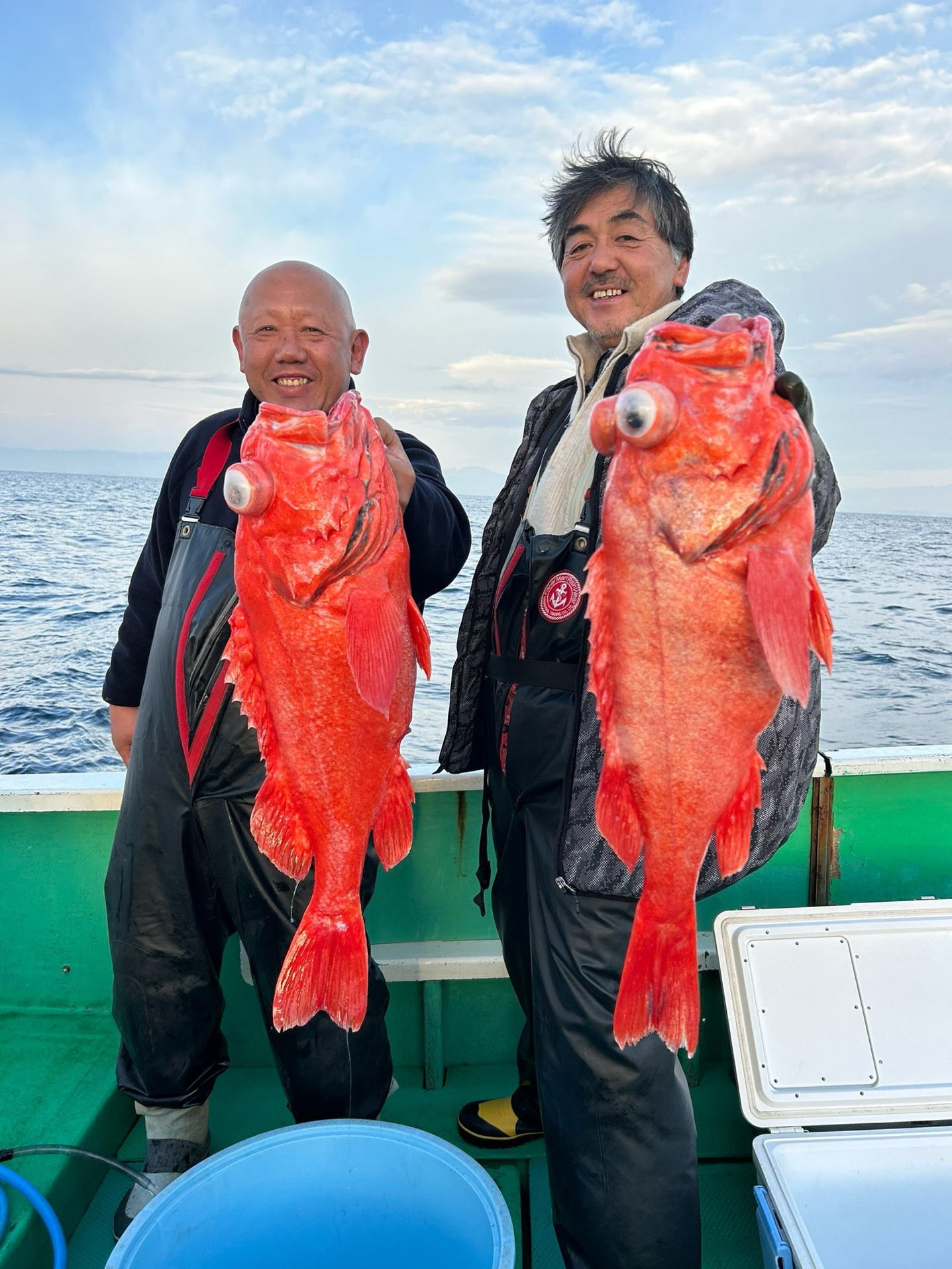 ベニアコウ 本命浮上㊗️