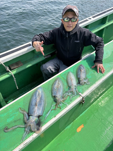 ティップラン トップ4杯‼️最大1.9kg🦑
