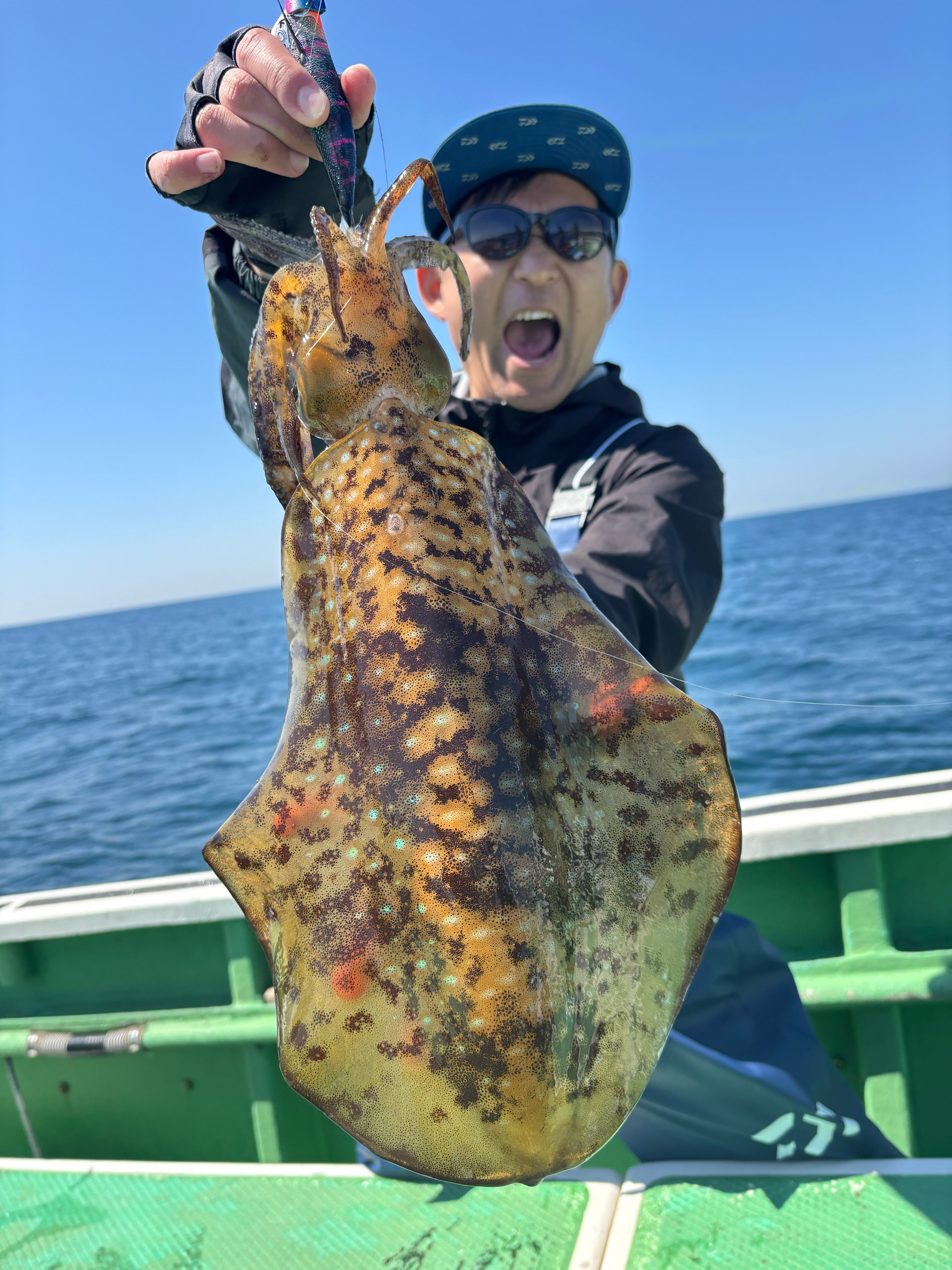 ティップラン トップ1杯‼️最大1.4kg🦑
