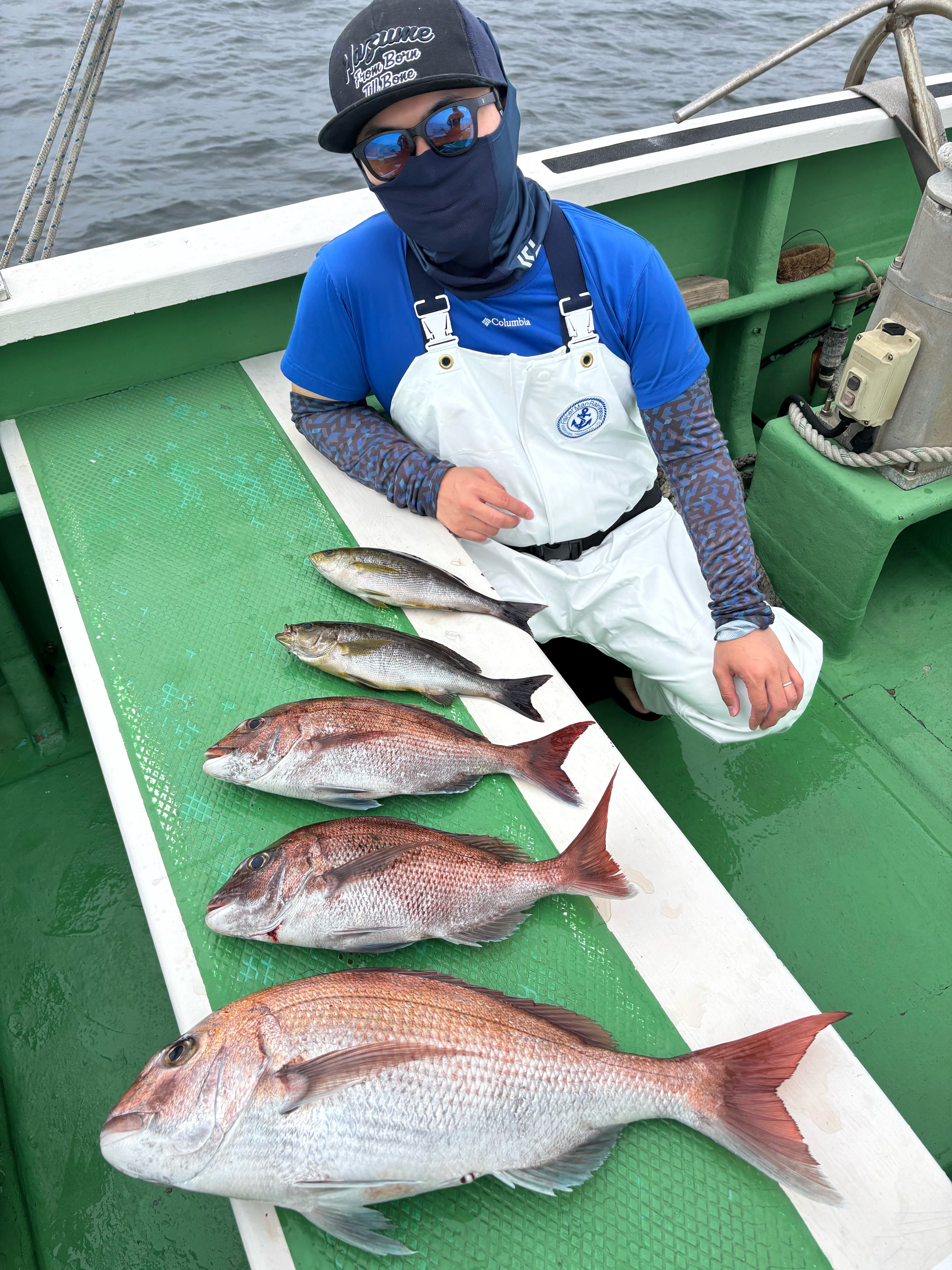 真鯛 トップ3匹‼️最大2.7kg