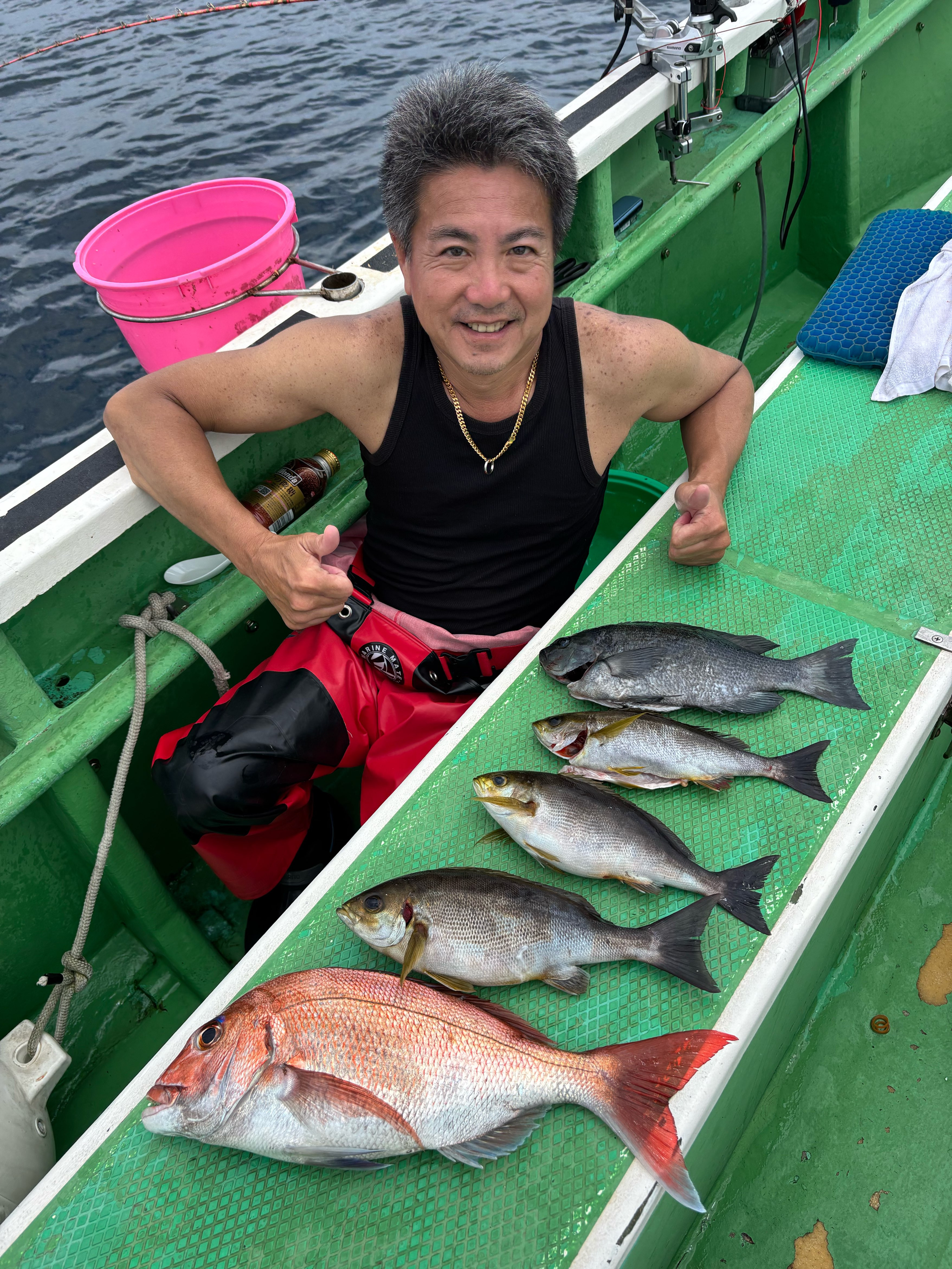 真鯛 トップ1匹‼️極上イサキ多数