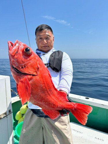 ベニアコウ 良型本命浮上㊗️