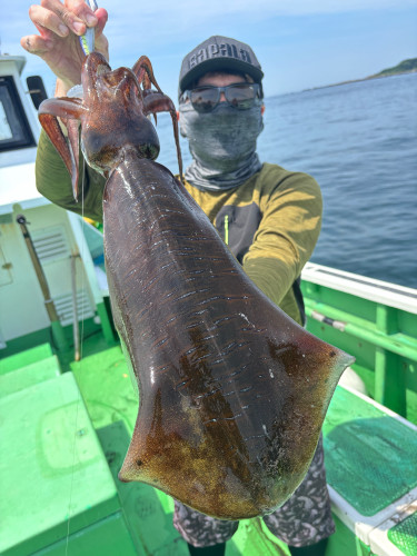 アオリイカ 2.3kg‼️