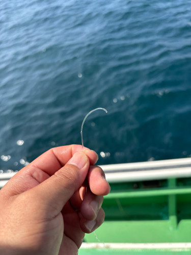 相模湾マグロ 1ヒット‼️