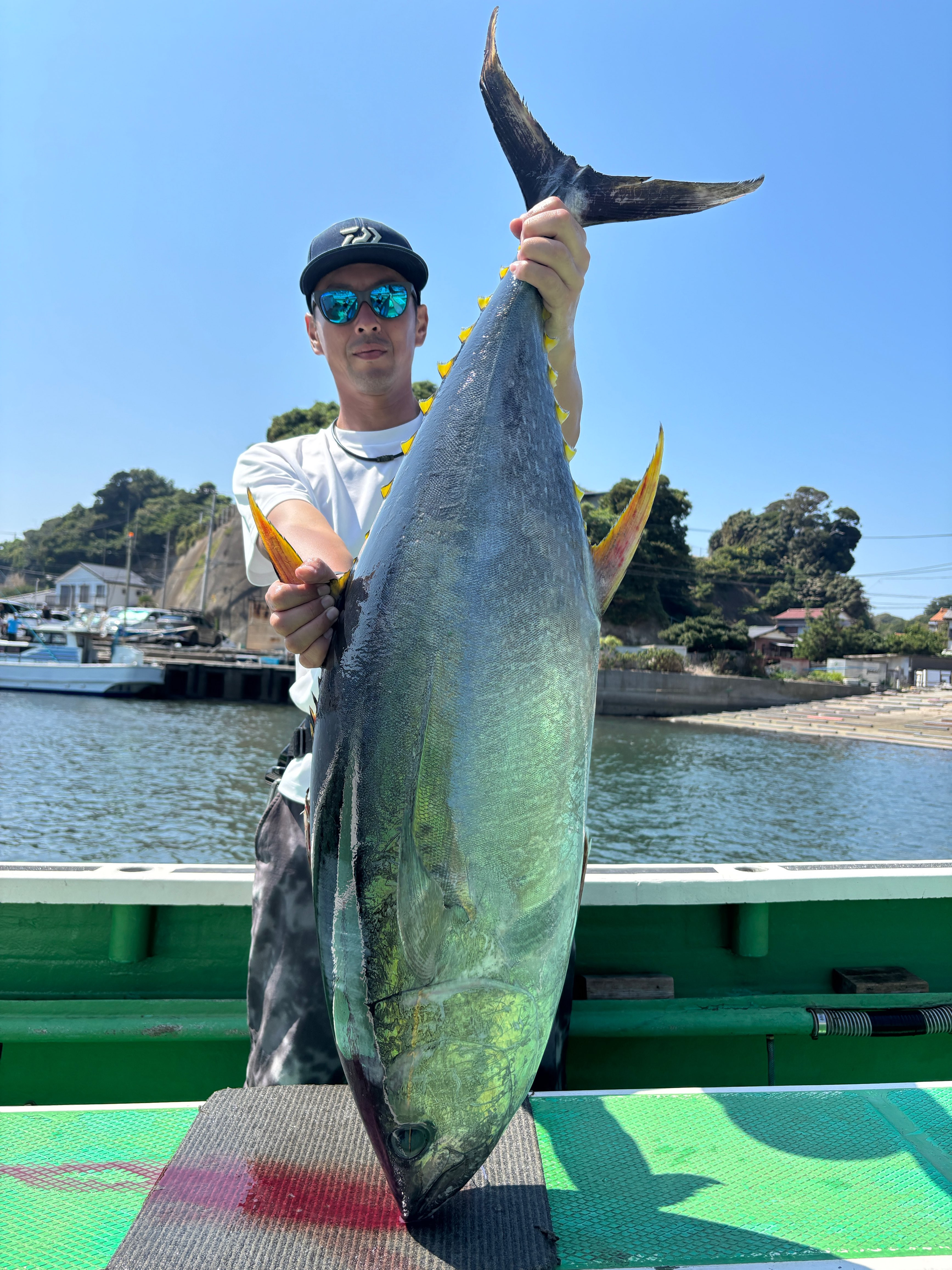 キハダ 24.1kg‼️