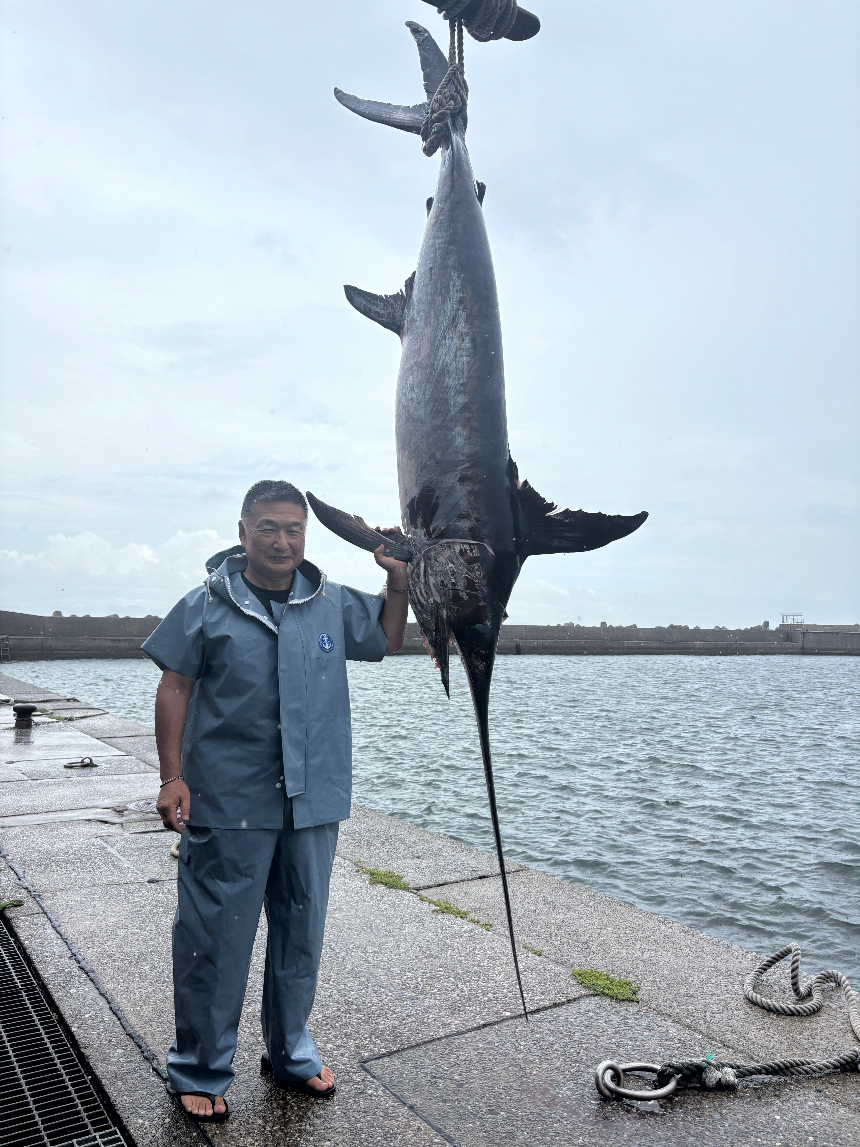 メカジキ 80kg‼️