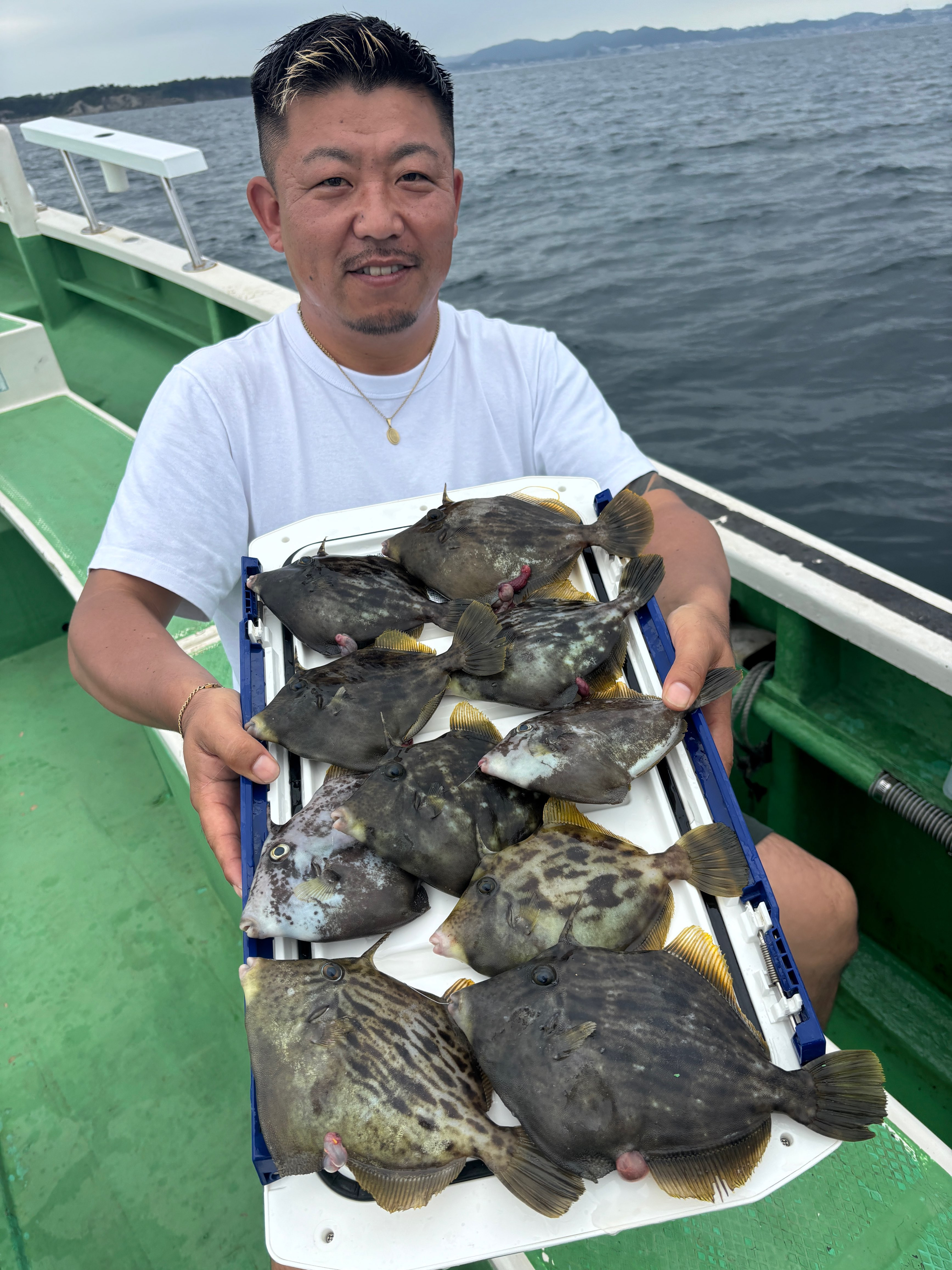 カワハギ トップ10枚‼️