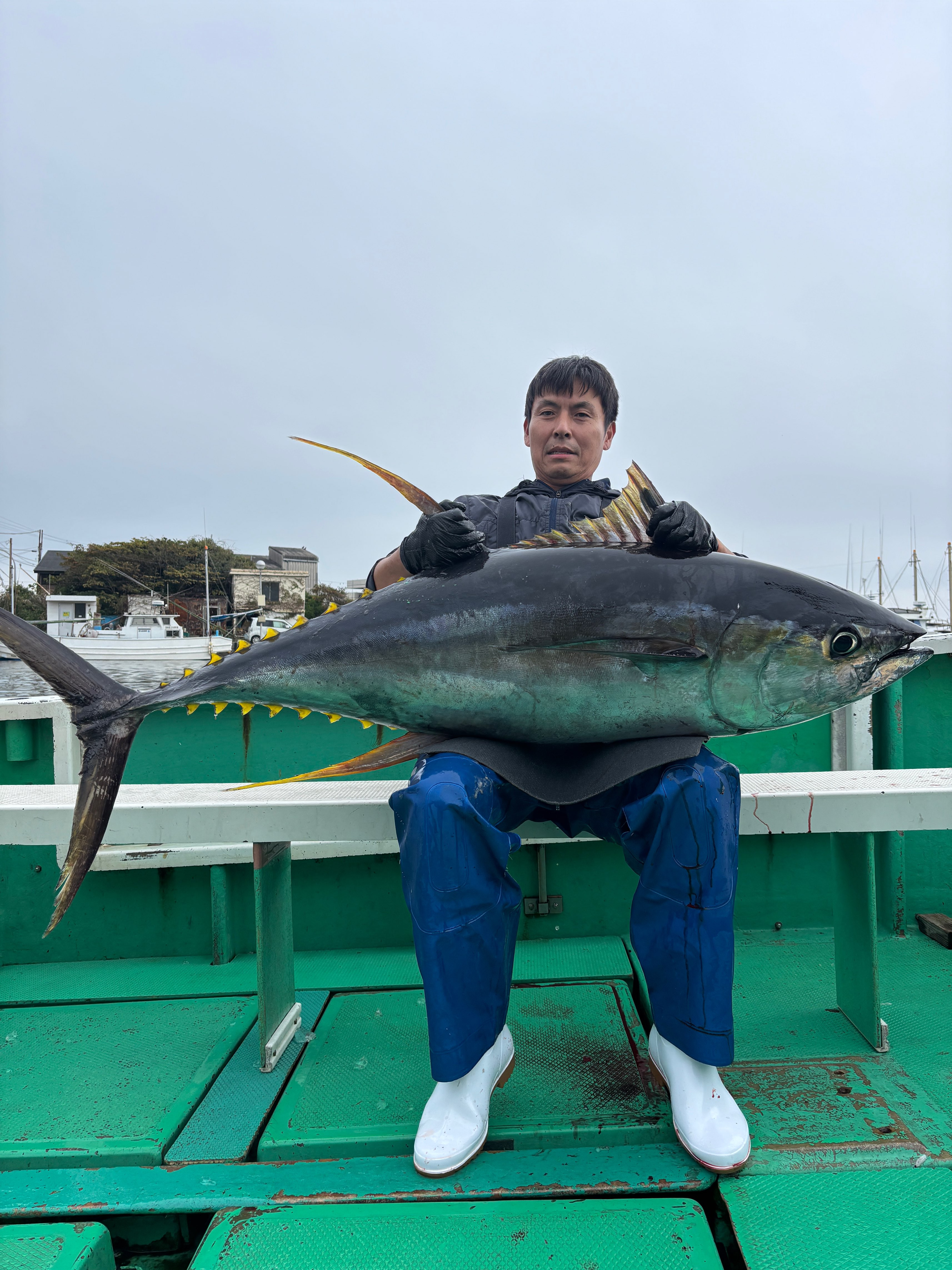 キハダ 48kg‼️