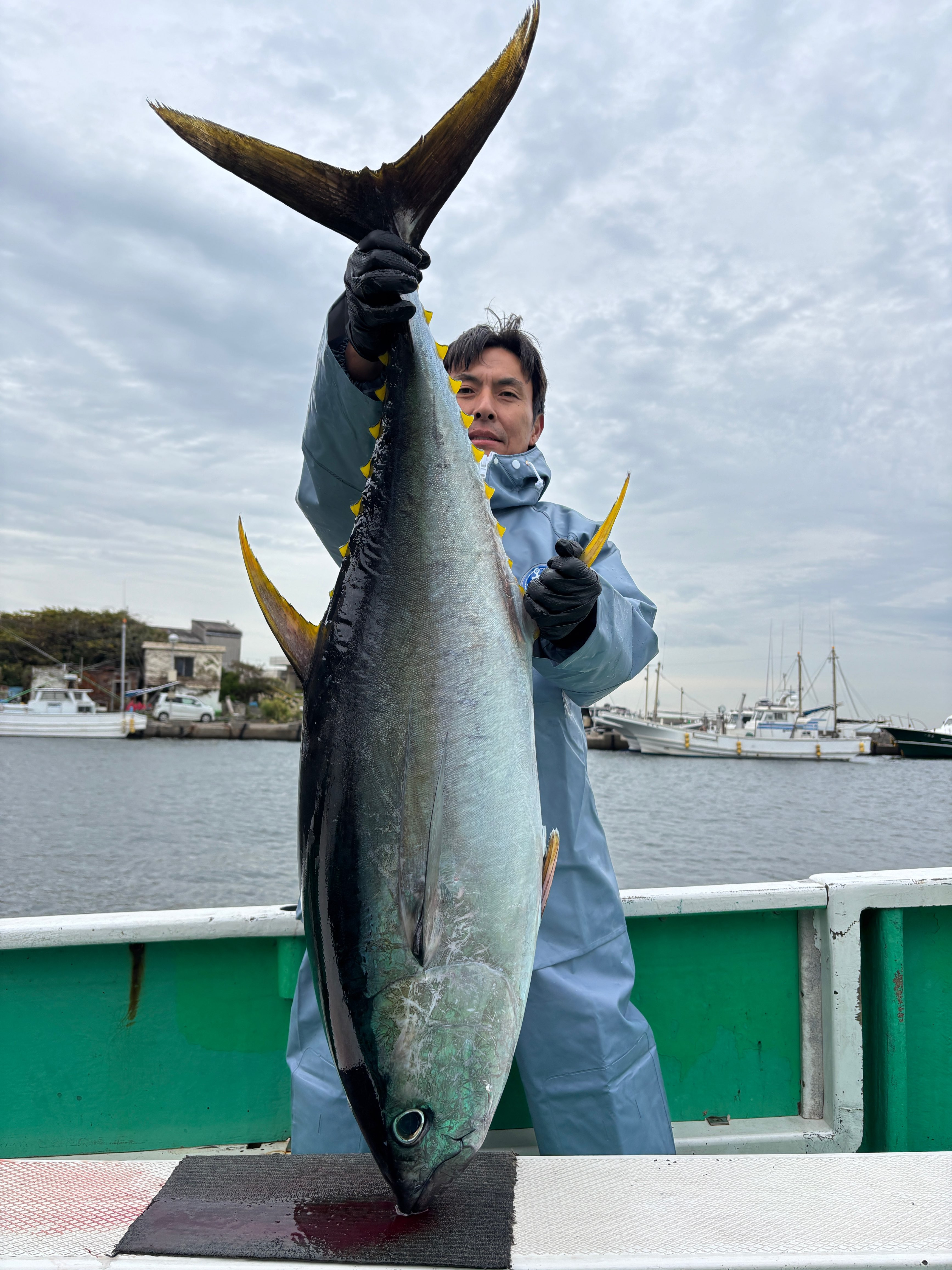 キハダ 2打数1安打‼️