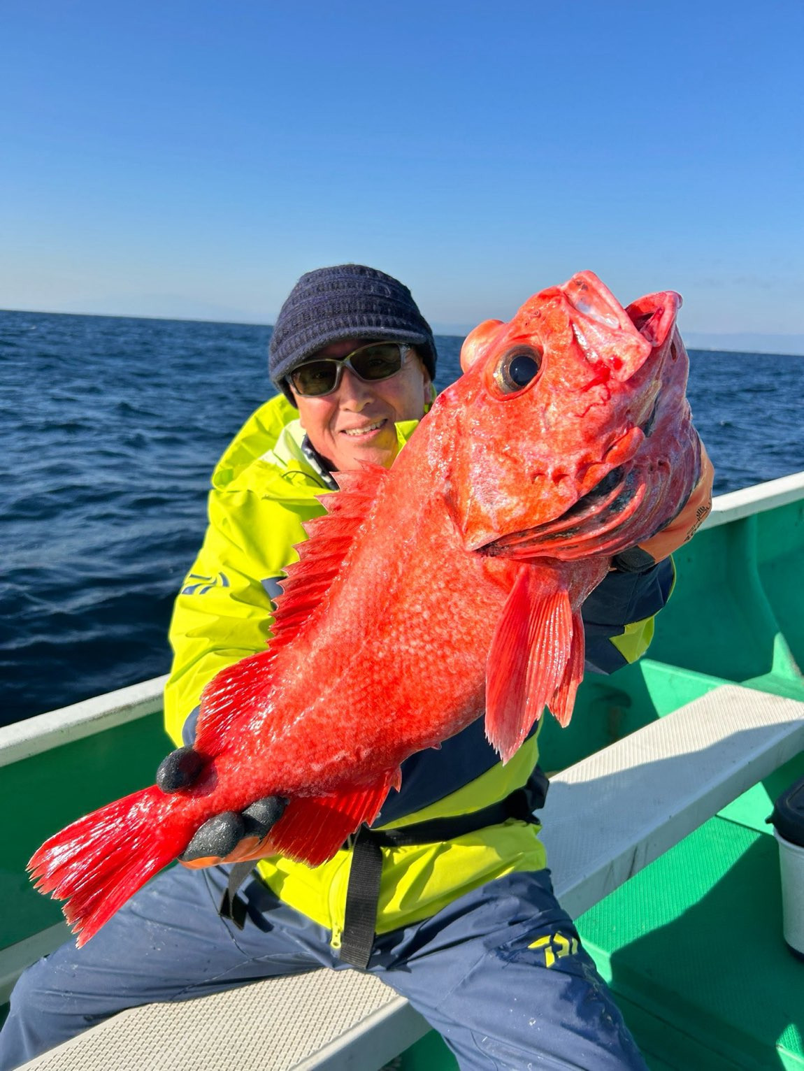 ベニアコウ 好調‼️