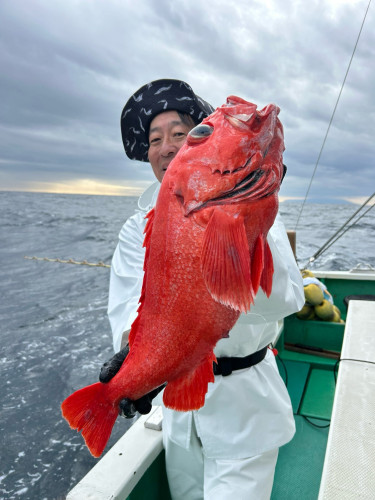 ベニアコウ 好調‼️