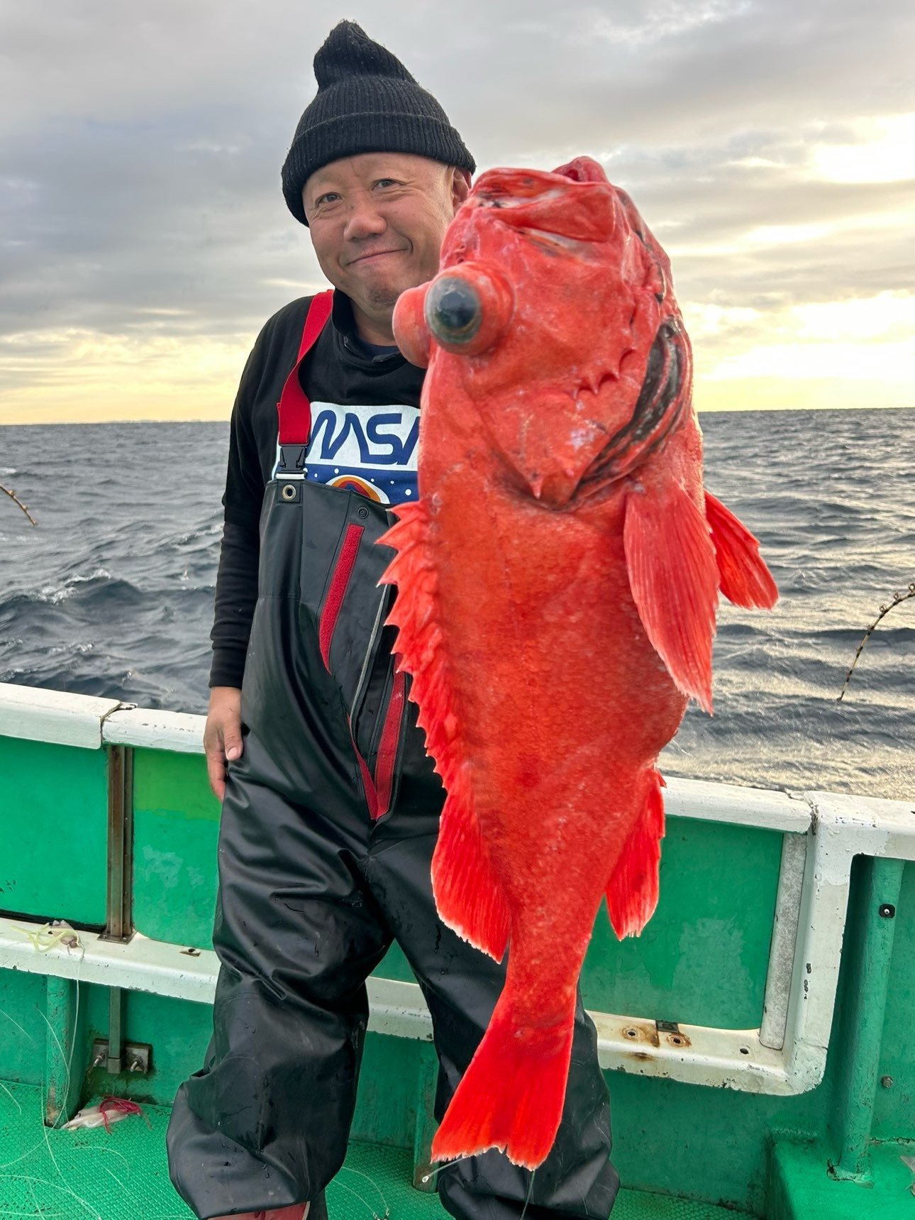 ベニアコウ 良型本命浮上㊗️