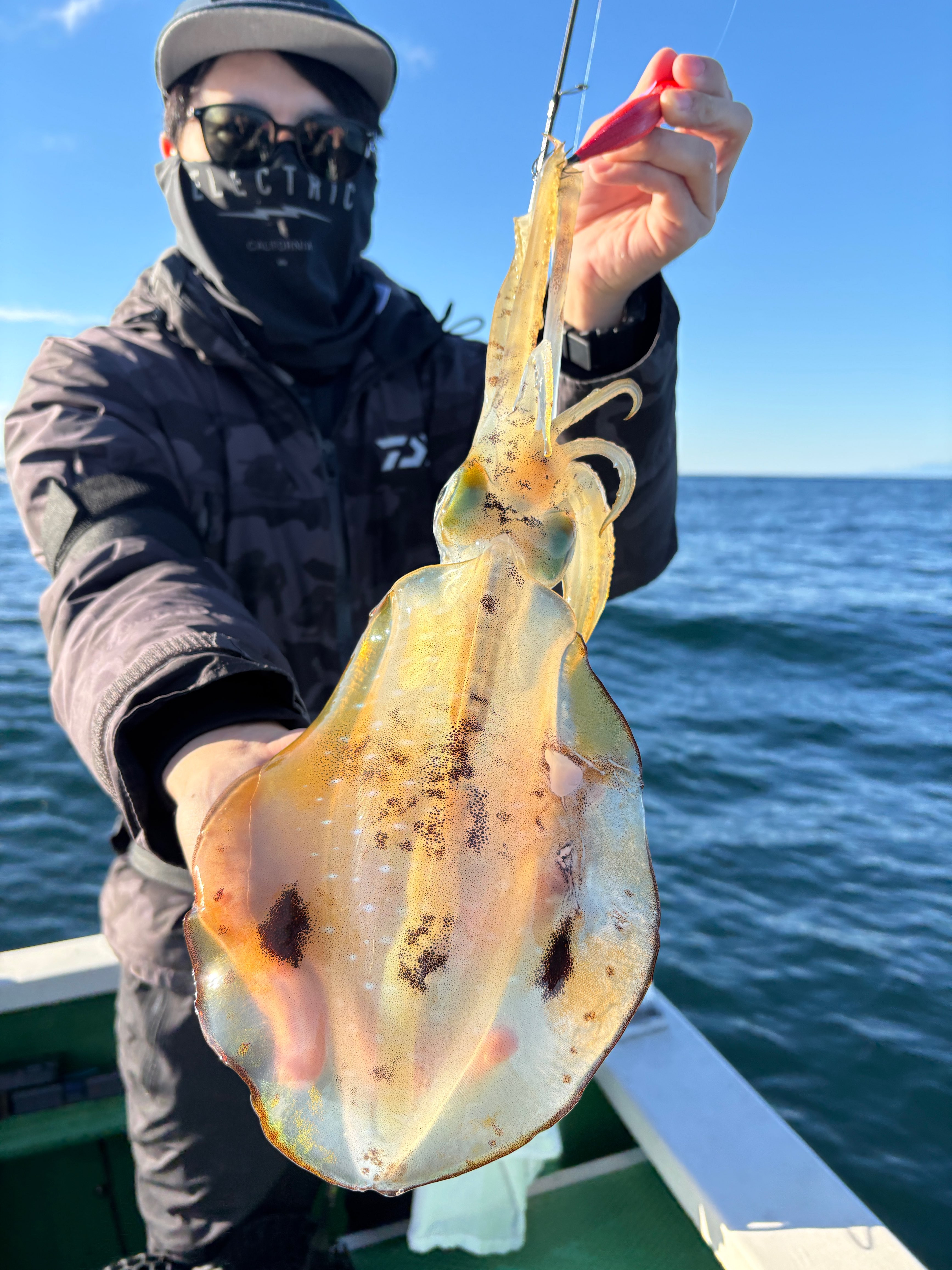 ティップラン トップ1杯が2名‼️他マルイカ