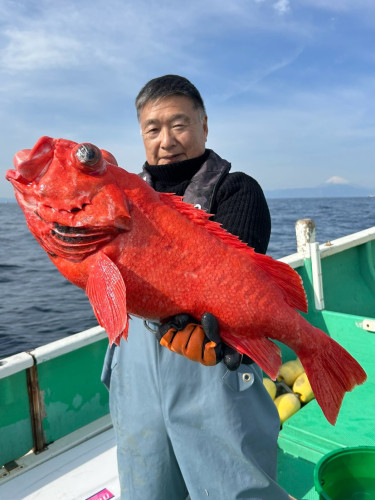 ㊗️ベニアコウ 本命浮上㊗️