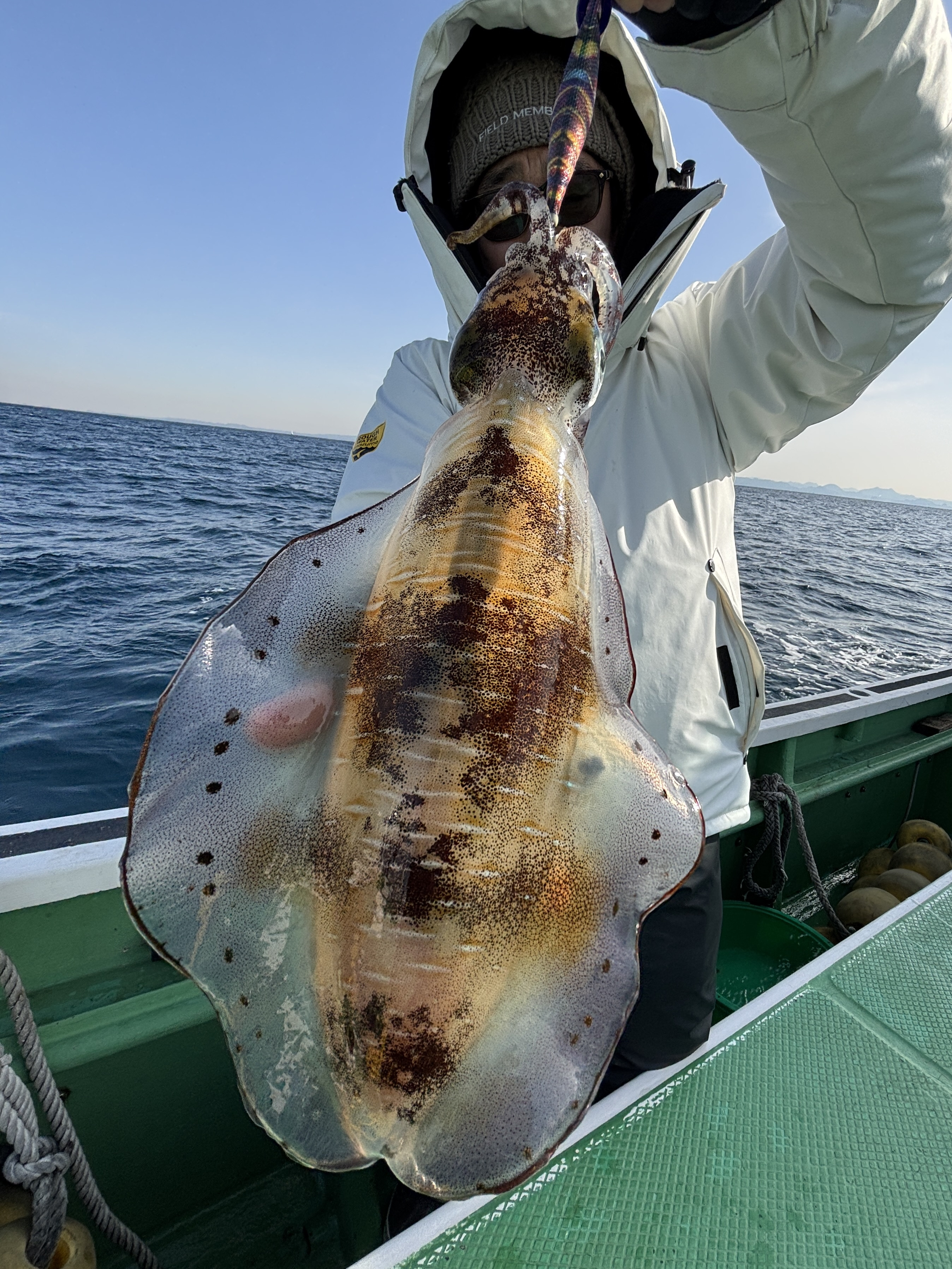 ティップラン トップ1杯‼️最大1.2kg