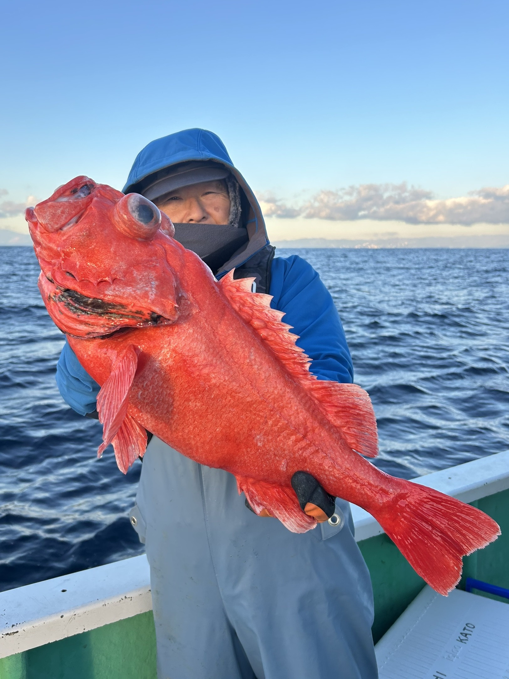 ベニアコウ 良型本命浮上㊗️