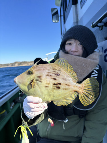 カワハギ 1-4匹‼️最大31cm
