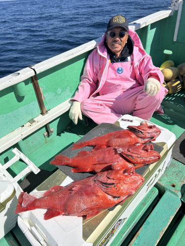 ベニアコウ 4匹‼️