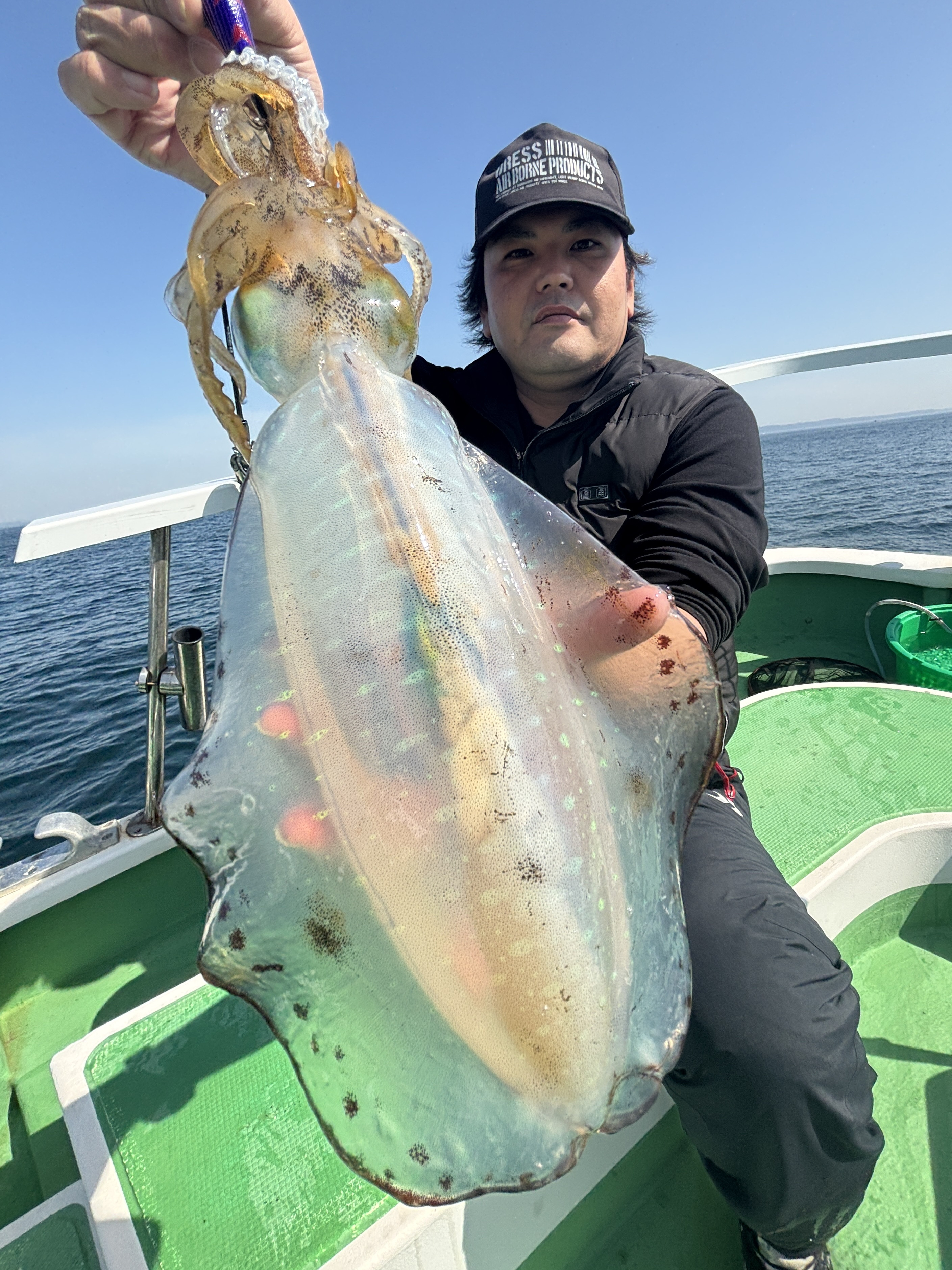 ティップラン トップ3杯‼️最大1.2kg🦑