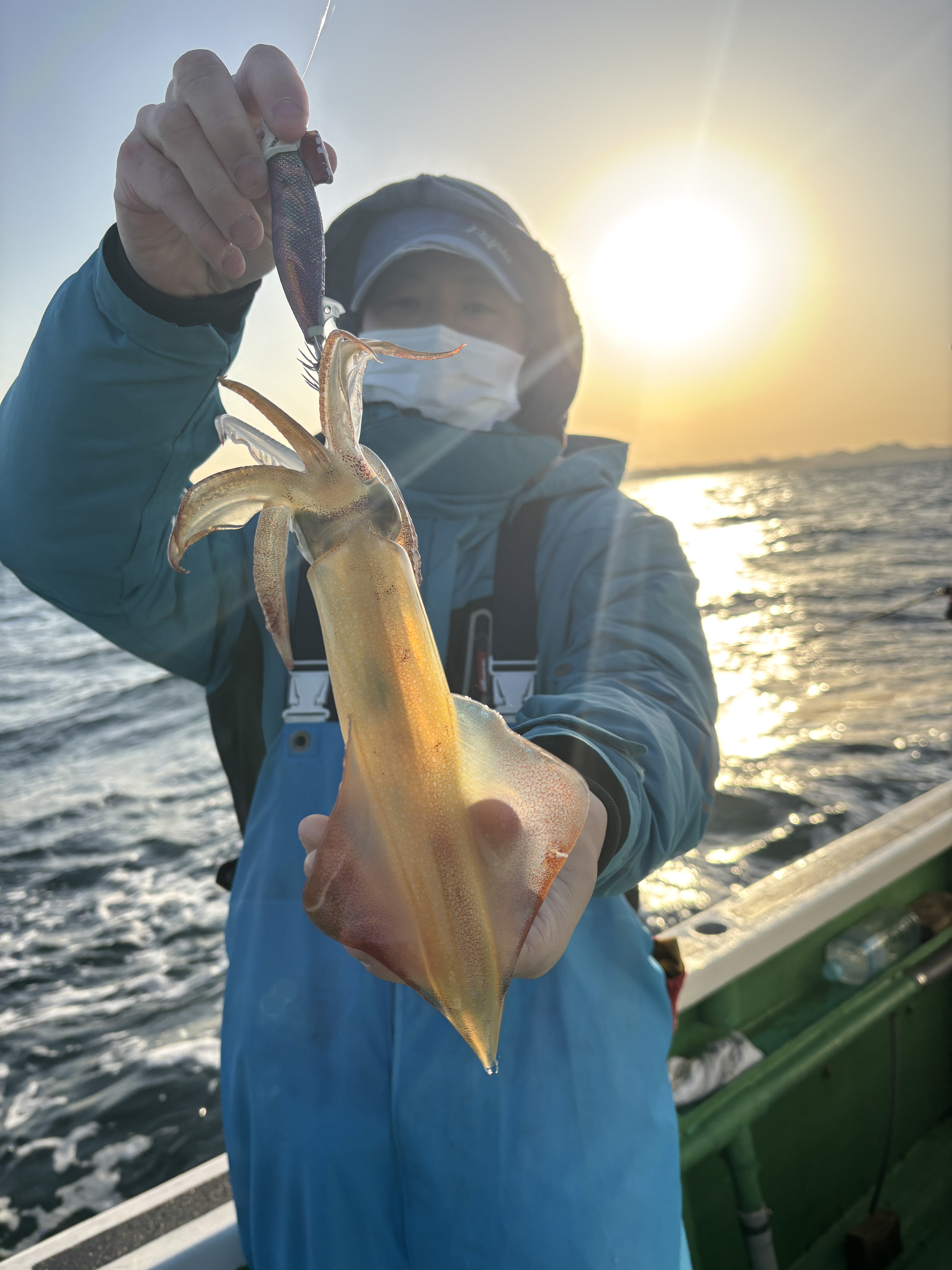 ティップラン マルイカちょろちょろ