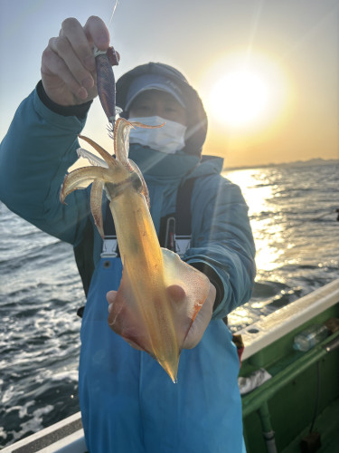 ティップラン マルイカちょろちょろ