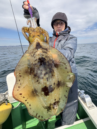 ティップラン トップ3杯‼️最大1.3kg
