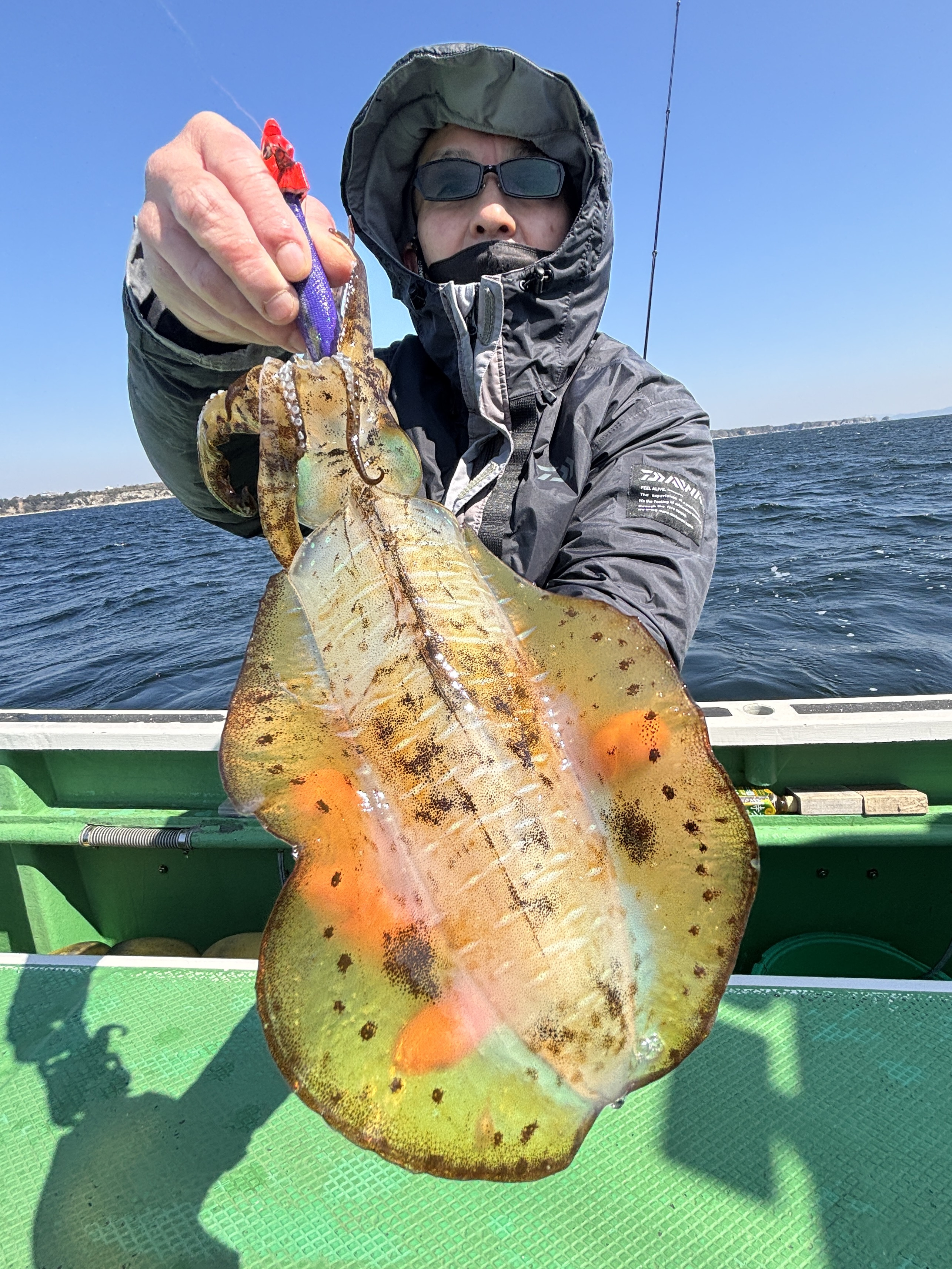 ティップラン トップ1杯‼️