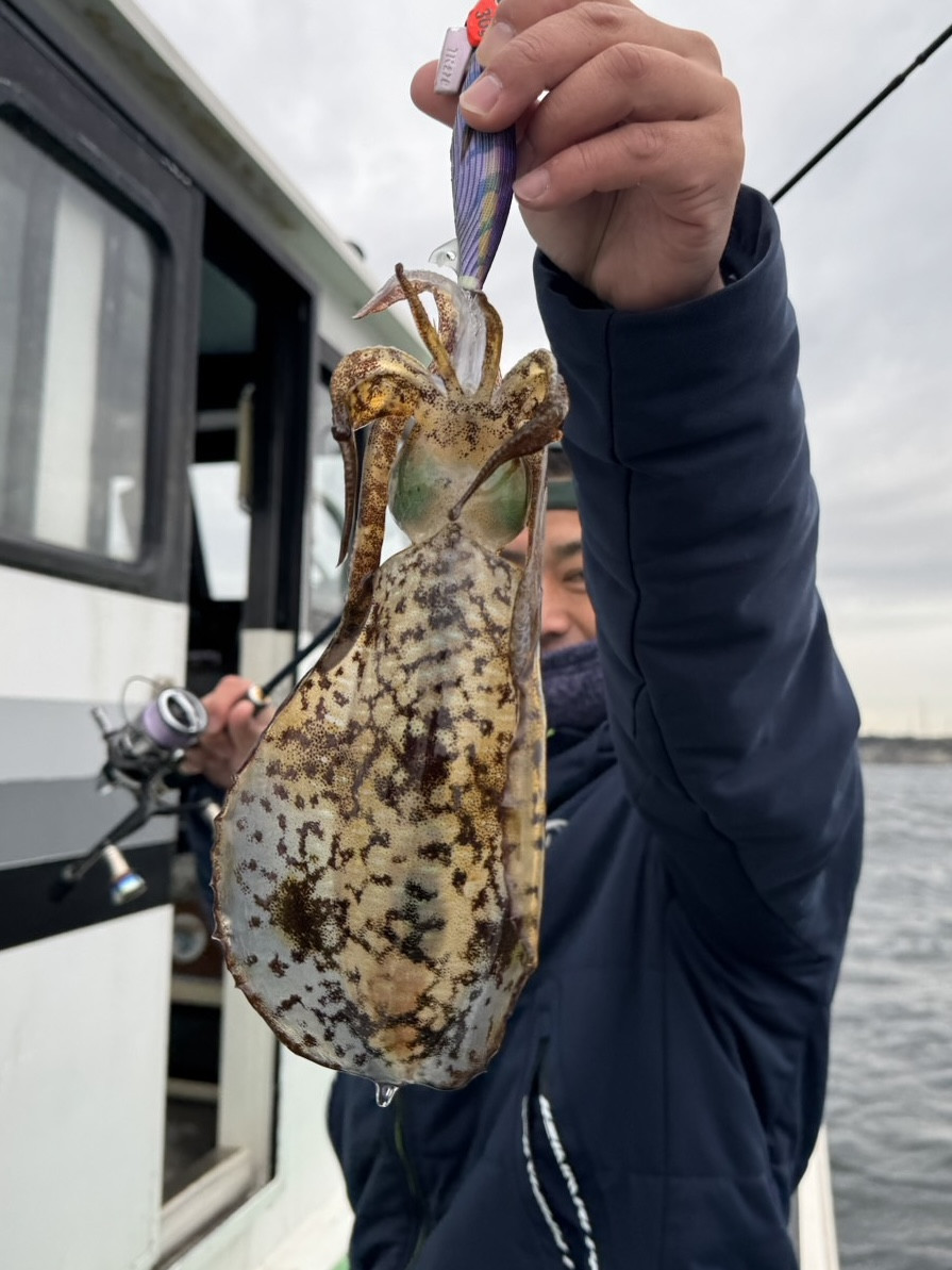 ティップラン トップ1杯‼️