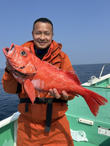 ベニアコウ 本命浮上㊗️