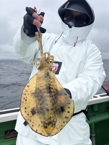 ティップラン トップ1杯‼️