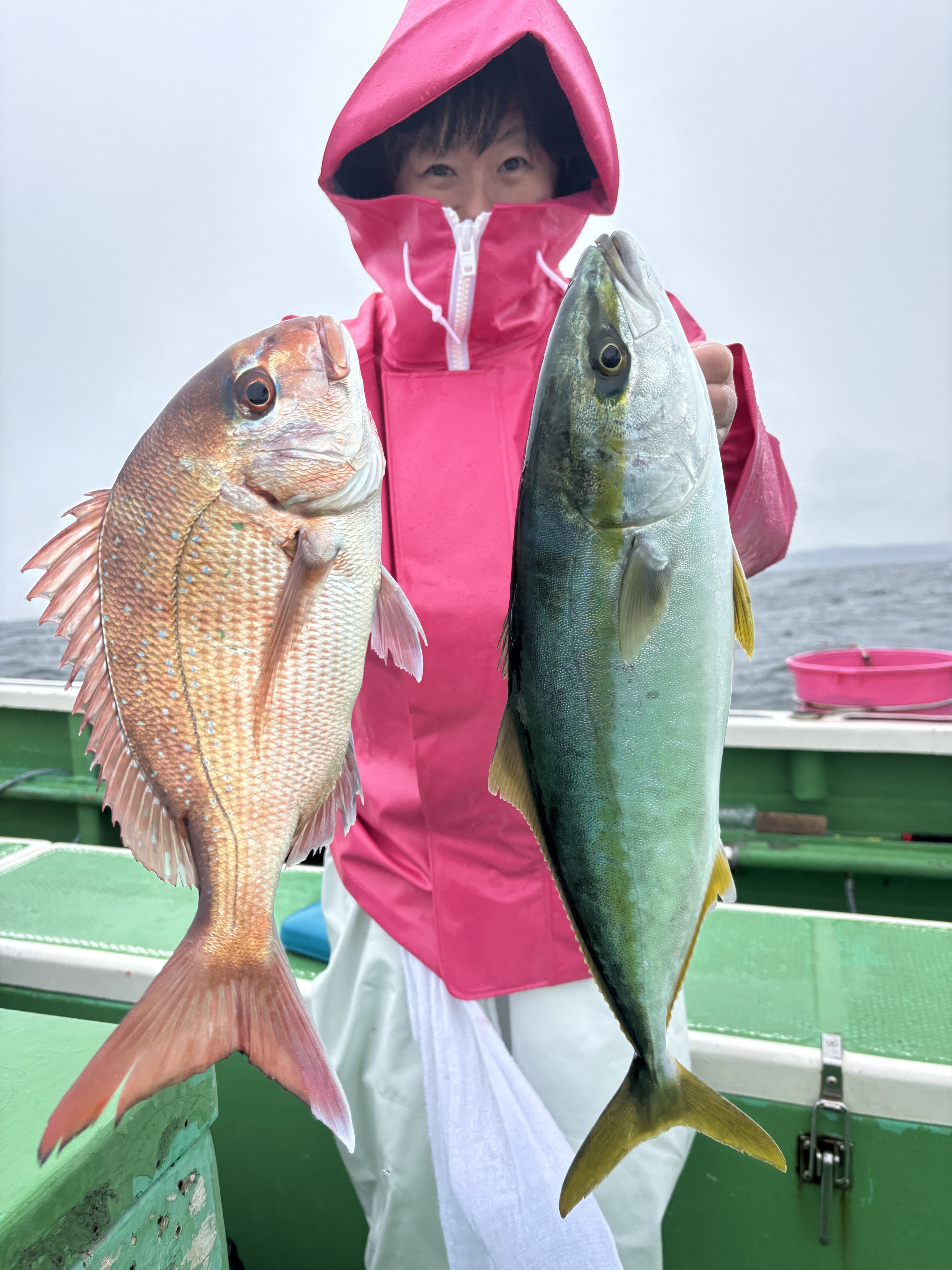 真鯛 仕立て船‼️